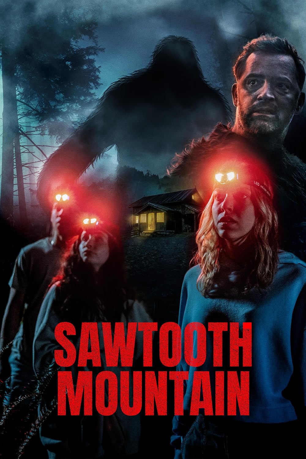 Sawtooth Mountain Promo Poster
